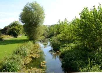 Paysage campagne ruisseau Mairie Melz-sur-Seine village Seine et Marne 77 proche Provins Paysage campagne ruisseau Mairie Melz-sur-Seine village Seine et Marne 77 proche Provins