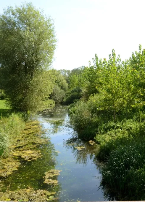 Paysage campagne ruisseau Mairie Melz-sur-Seine village Seine et Marne 77 proche Provins Paysage campagne ruisseau Mairie Melz-sur-Seine village Seine et Marne 77 proche Provins