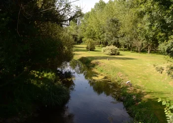 Paysage campagneruisseau Mairie Melz-sur-Seine village Seine et Marne 77 proche Provins Paysage campagneruisseau Mairie Melz-sur-Seine village Seine et Marne 77 proche Provins